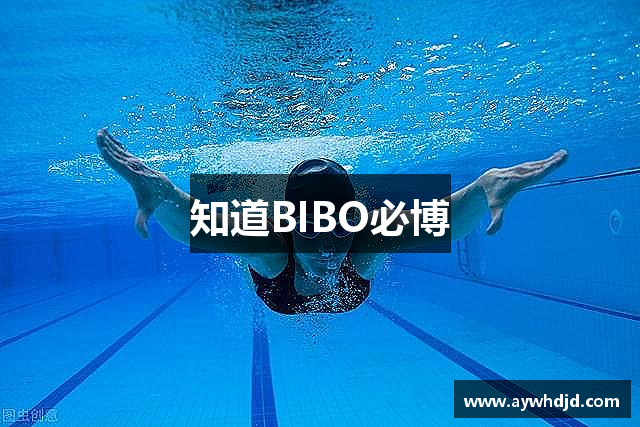 知道BIBO必博